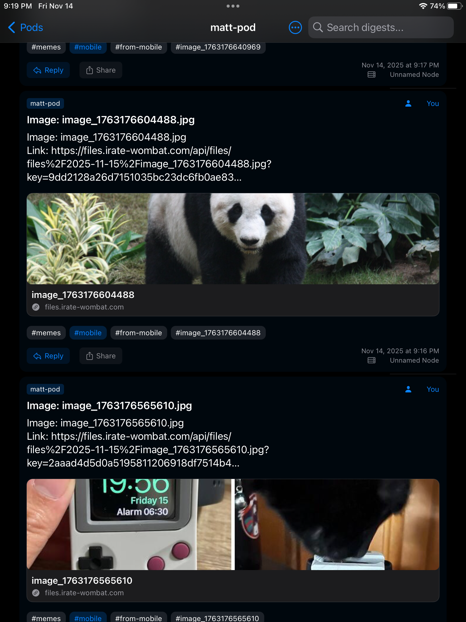 Weekly Update 11/14/2025