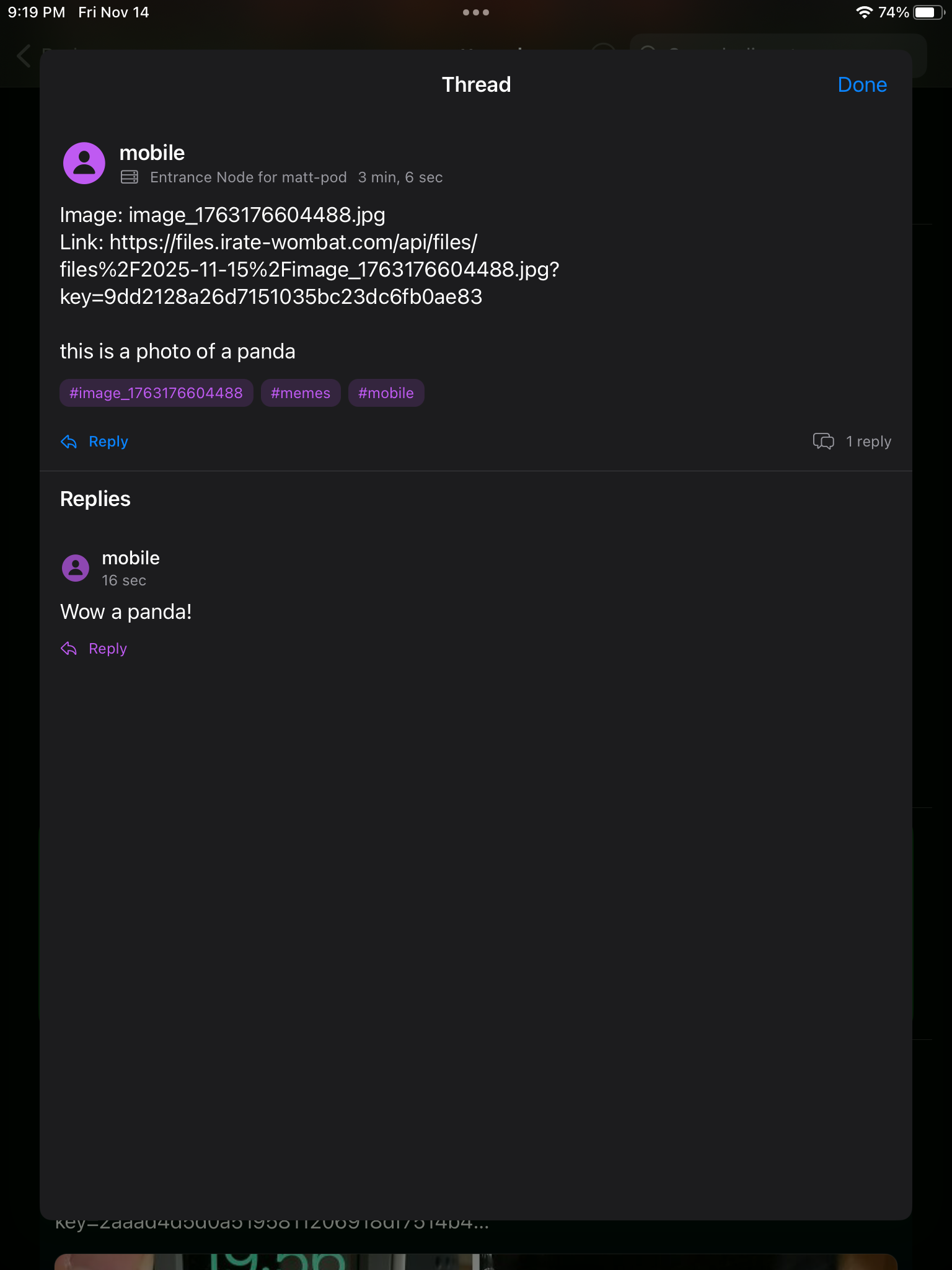 Weekly Update 11/14/2025