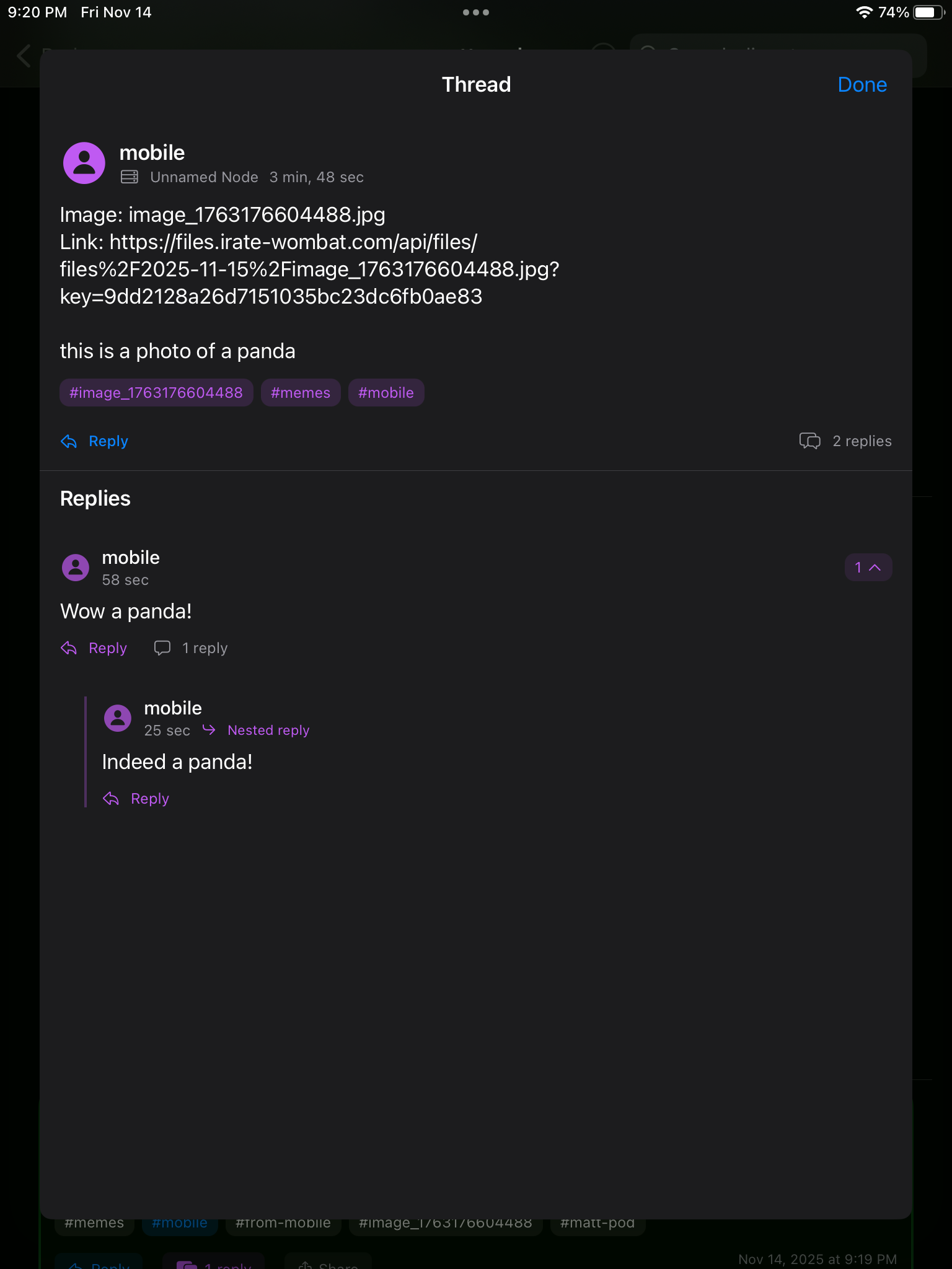 Weekly Update 11/14/2025