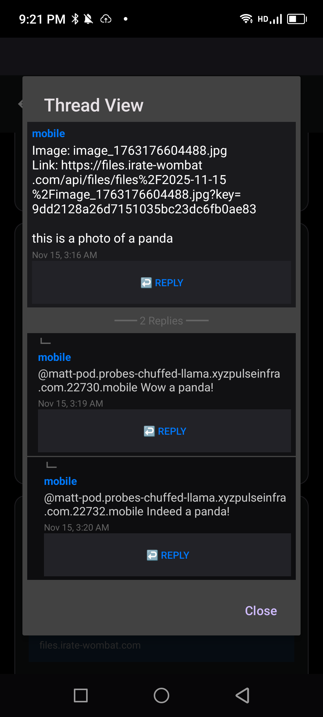 Weekly Update 11/14/2025
